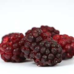 Ostružiny celé, lyofilizované (sušené mrazem) 100 g, NaturBites