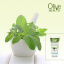OLIVE Krém na nohy Cypřiš a Máta 100 ml