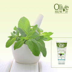 OLIVE Krém na nohy Cypřiš a Máta 100 ml