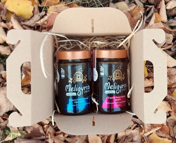 Dárková sada medů "Lesní BIO" 2 x 450 g