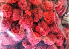 Maliny lyofilizované celé (sušené mrazem) 100 g, NaturBites