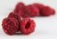 Maliny lyofilizované celé (sušené mrazem) 100 g, NaturBites