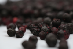 Lesní borůvky lyofilizované (sušené mrazem) 50 g, NaturBites