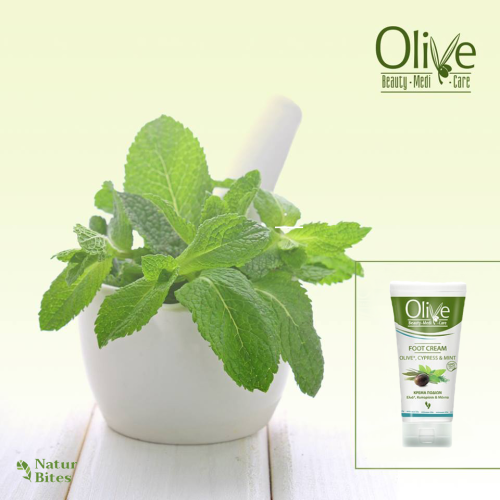 OLIVE Krém na nohy Cypřiš a Máta 100 ml