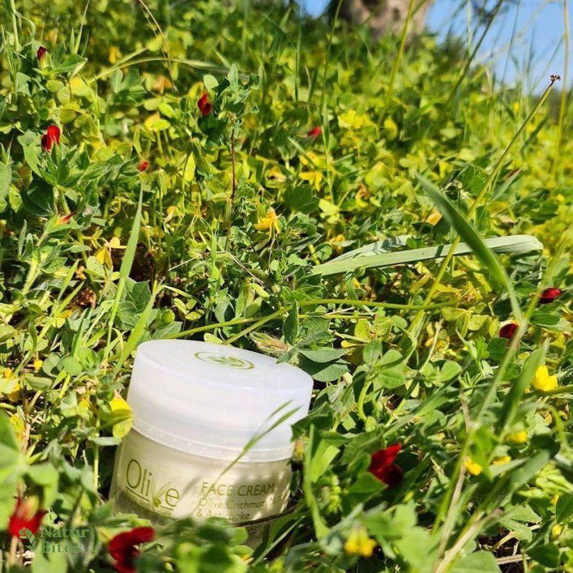 OLIVE 24h krém na obličej Avokádo a Motar přímořský 50 ml