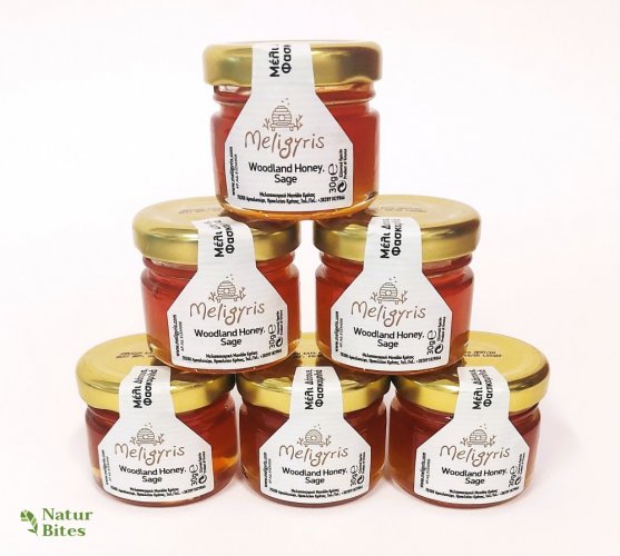 Řecký lesní med "Šalvěj" 30 g, Meligyris