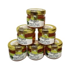 Řecký med BIO "Horské louky" květový 30 g, Meligyris