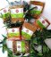 Výhodná sada kořenících směsí bez soli "Dietní masa-ECO" 7x75 g, Cretan Farmers