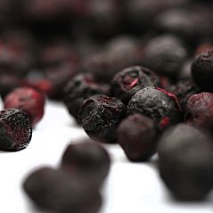 Lesní borůvky celé, lyofilizované (sušené mrazem) 100 g, NaturBites