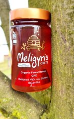 Řecký lesní med BIO "Dub", květový 450 g, MELIGYRIS