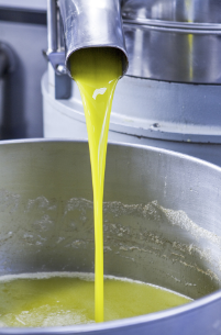 Extra panenský olivový olej z rodinné farmy na Krétě, sklizeň 2023